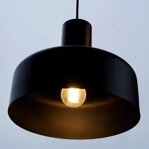 Pendant Ceiling Light in Matte Black